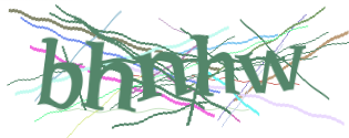 Enter the character string shown in the picture