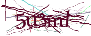 Enter the character string shown in the picture