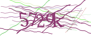 Enter the character string shown in the picture