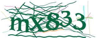 Enter the character string shown in the picture