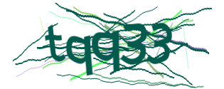 Enter the character string shown in the picture