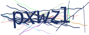 Enter the character string shown in the picture