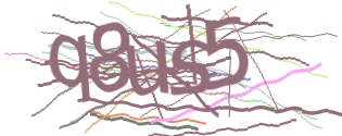 Enter the character string shown in the picture