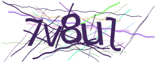 Enter the character string shown in the picture