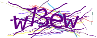Enter the character string shown in the picture