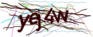 Enter the character string shown in the picture