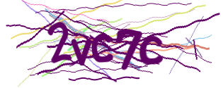 Enter the character string shown in the picture