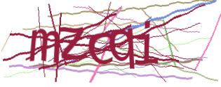 Enter the character string shown in the picture