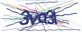 Enter the character string shown in the picture