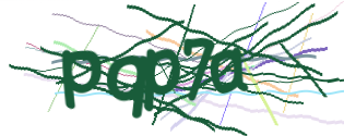 Enter the character string shown in the picture
