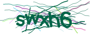 Enter the character string shown in the picture