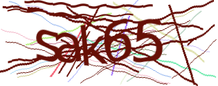 Enter the character string shown in the picture