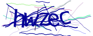 Enter the character string shown in the picture