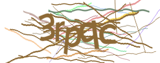 Enter the character string shown in the picture