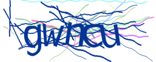 Enter the character string shown in the picture
