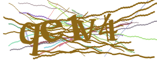 Enter the character string shown in the picture