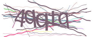 Enter the character string shown in the picture