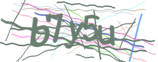Enter the character string shown in the picture