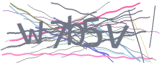 Enter the character string shown in the picture