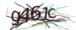 Enter the character string shown in the picture